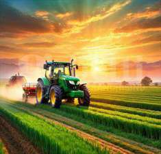 Foto Terreno Agricolo in Vendita, 21400 mq (Piove di Sacco)