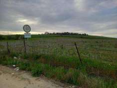 Foto Terreno agricolo in Vendita, 23000 mq (NARO)