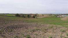 Foto Terreno agricolo in Vendita, 23000 mq (TUSCANIA)