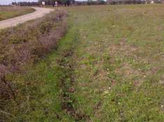 Foto Terreno Agricolo in Vendita, 23375 mq, San Donaci
