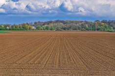 Foto Terreno Agricolo in Vendita, 2348 mq (Venafro)