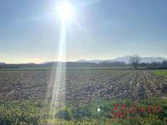 Foto Terreno Agricolo in Vendita, 24000 mq (San Tammaro)