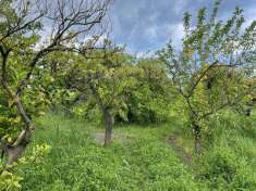 Foto Terreno agricolo in Vendita, 2420 mq (BORGIA ROCCELLETTA)