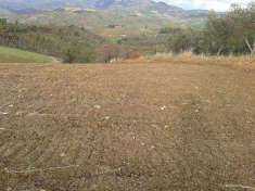 Foto Terreno agricolo in Vendita, 250 mq (SAN CATALDO)
