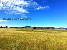 Foto Terreno agricolo in Vendita, 250000 mq (MARTA)
