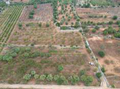Foto Terreno agricolo in Vendita, 25004 mq (CASTELLANA GROTTE)
