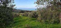 Foto Terreno agricolo in Vendita, 2540 mq (LASCARI)