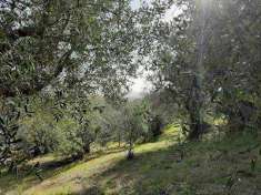 Foto Terreno agricolo in Vendita, 2600 mq (FOLLONICA)