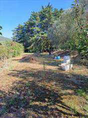 Foto Terreno agricolo in Vendita, 2700 mq (LIVORNO LIMONCINO)