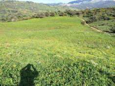 Foto Terreno agricolo in Vendita, 27200 mq (COLLESANO)