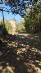 Foto Terreno Agricolo in Vendita, 28 mq (Arezzo)