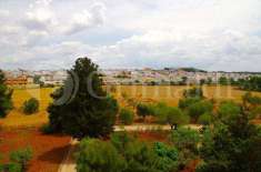 Foto Terreno Agricolo in Vendita, 28000 mq (Sannicola)