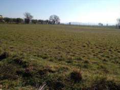 Foto Terreno agricolo in Vendita, 29470 mq (VETRALLA DOGANE)