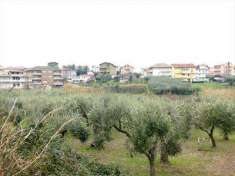 Foto Terreno agricolo in Vendita, 3000 mq (CHIETI S. MARTINO)