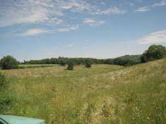 Foto Terreno agricolo in Vendita, 31000 mq (MONTEFIASCONE MENTUCCIA)