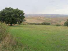 Foto Terreno Agricolo in Vendita, 32370 mq, Guglionesi