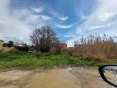 Foto Terreno agricolo in Vendita, 3299 mq (NETTUNO SECCIA)