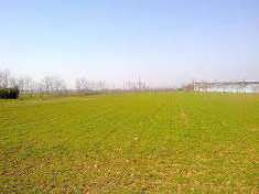 Foto Terreno agricolo in Vendita, 33392 mq (CARPI DUE PONTI)