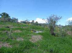 Foto Terreno Agricolo in Vendita, 3359 mq (Bagheria)