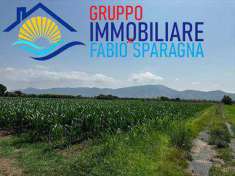 Foto Terreno agricolo in Vendita, 34666 mq (CELLOLE)