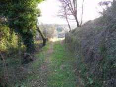 Foto Terreno agricolo in Vendita, 3500 mq (CAMAIORE CAMAIORE PONTEMAZ
