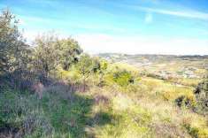 Foto Terreno Agricolo in Vendita, 37111 mq (Miglianico)