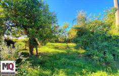 Foto Terreno agricolo in Vendita, 3800 mq (CARINOLA)