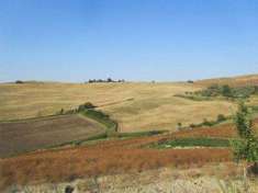 Foto Terreno Agricolo in Vendita, 382887 mq, Montenero di Bisaccia