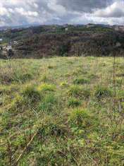 Foto Terreno agricolo in Vendita, 4000 mq (COSENZA TIMPONE ULIVI)