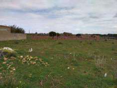Foto Terreno agricolo in Vendita, 4000 mq (MAZARA DEL VALLO TONNARELL