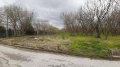 Foto Terreno agricolo in Vendita, 4000 mq (MONTEFREDANE)