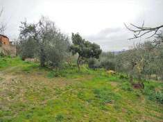 Foto Terreno agricolo in Vendita, 4000 mq (SINALUNGA BETTOLLE)