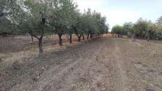 Foto Terreno agricolo in Vendita, 40150 mq (MENFI)