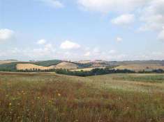 Foto Terreno agricolo in Vendita, 42340 mq (TUSCANIA)