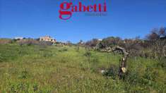 Foto Terreno Agricolo in Vendita, 4370 mq (Santa Flavia)