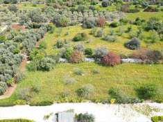 Foto Terreno agricolo in Vendita, 4560 mq (MONOPOLI)