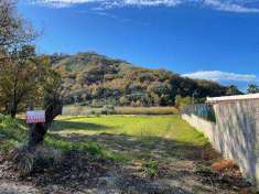 Foto Terreno Agricolo in Vendita, 4700 mq, Sessa Aurunca (Piedimonte)