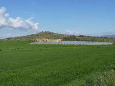Foto Terreno agricolo in Vendita, 471534 mq (NOTO)