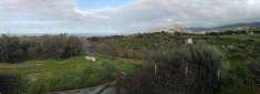Foto Terreno agricolo in Vendita, 4875 mq (CAMPOFELICE DI ROCCELLA)