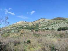 Foto Terreno agricolo in Vendita, 5000 mq (CASTEL SAN GIORGIO TRIVIO)