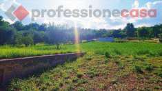 Foto Terreno Agricolo in Vendita, 5000 mq (Piedimonte San Germano)