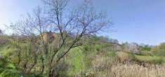 Foto Terreno agricolo in Vendita, 50000 mq (COSENZA SANT'IPPOLITO)