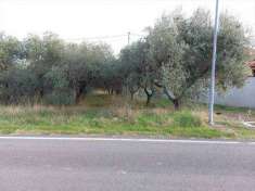 Foto Terreno agricolo in Vendita, 5030 mq (FOSSACESIA)