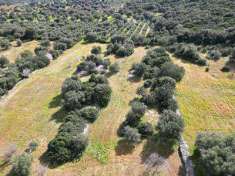 Foto Terreno agricolo in Vendita, 50635 mq (MONOPOLI)