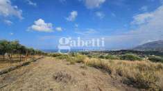 Foto Terreno Agricolo in Vendita, 5100 mq (Bagheria)