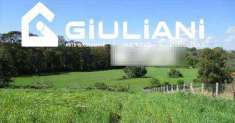 Foto Terreno Agricolo in Vendita, 52492 mq, Pomezia