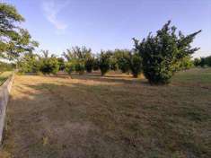 Foto Terreno agricolo in Vendita, 5500 mq (PONTECAGNANO FAIANO PONTEC