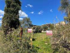 Foto Terreno Agricolo in Vendita, 5550 mq, Minturno (Marina di Mintur