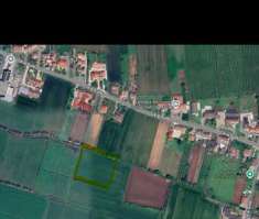 Foto Terreno Agricolo in Vendita, 5725 mq (Cologna Veneta)