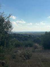 Foto Terreno agricolo in Vendita, 5903 mq (NOTO)